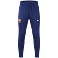 2025–26 FC Barcelona Blue & Purple Training Joggers