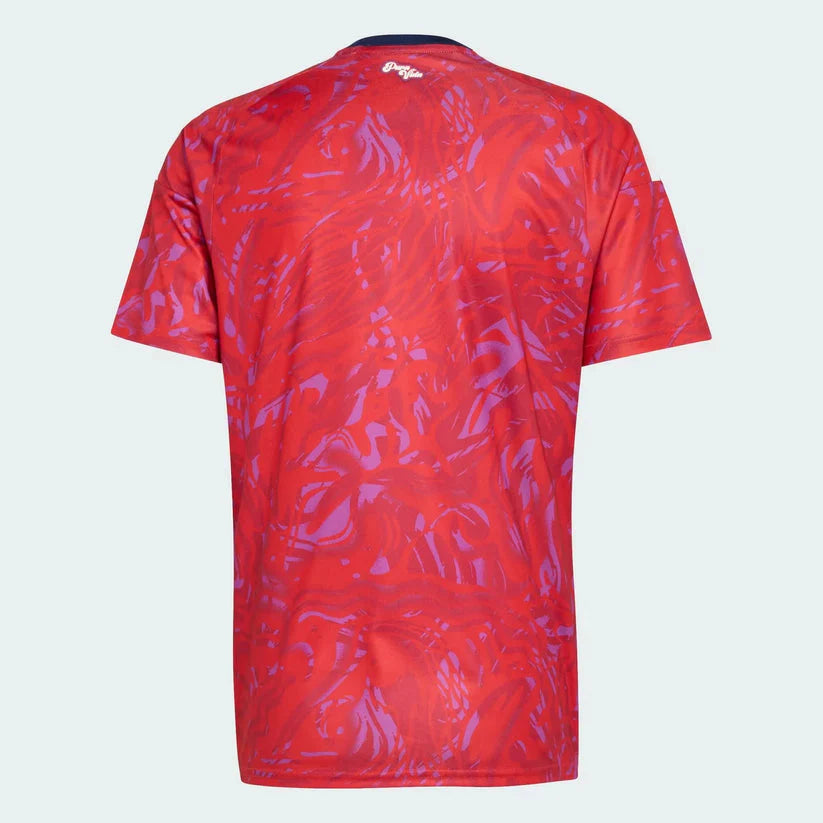 Costa Rica "2026 World Cup" Home Jersey