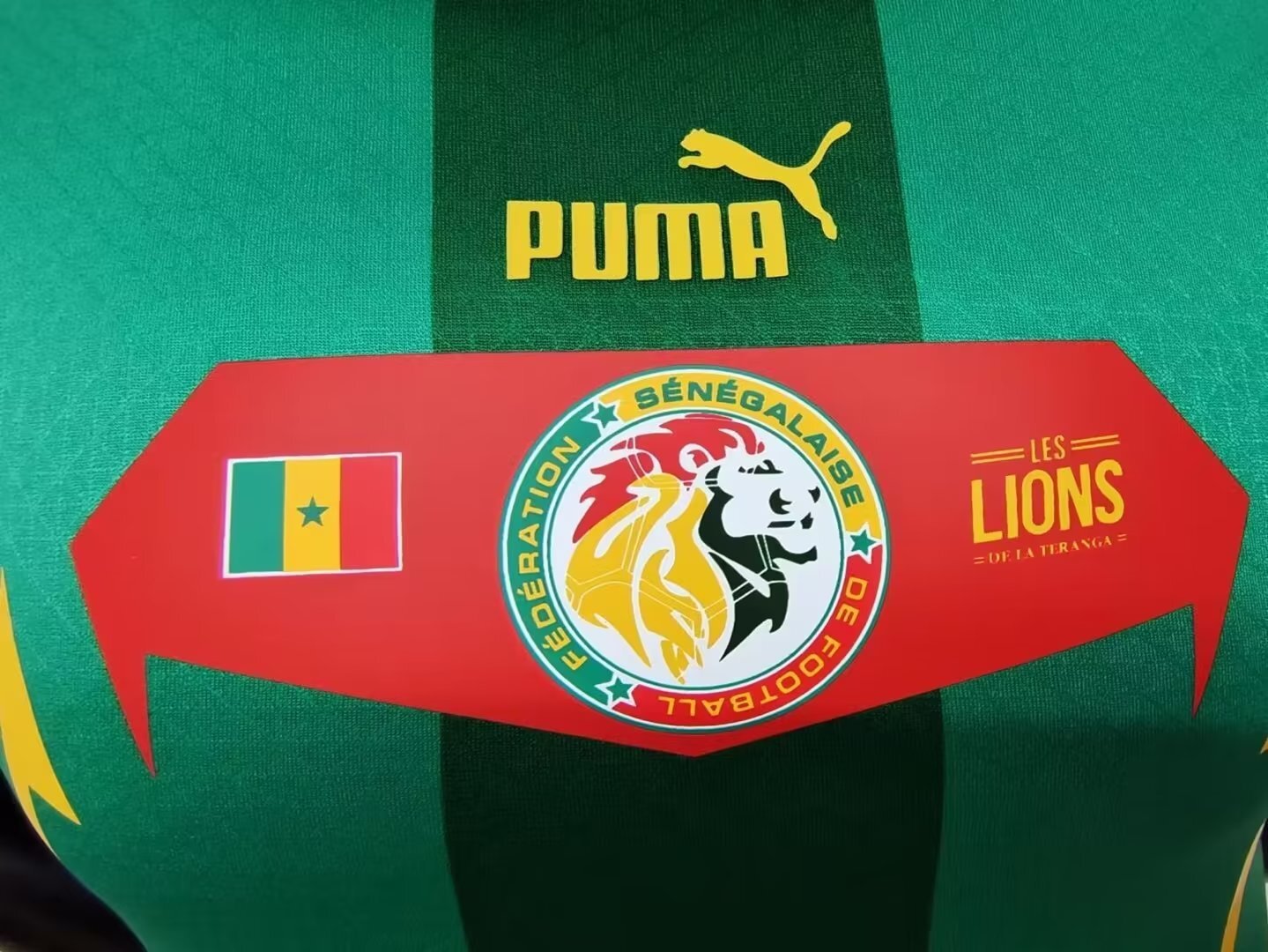 Senegal “2022 World Cup” Away Jersey