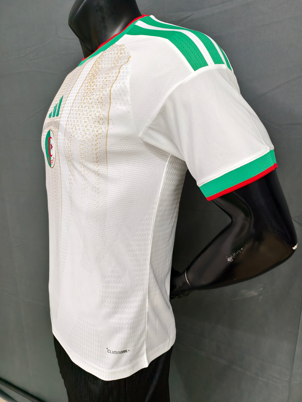 Algeria "2026 World Cup" Home Jersey
